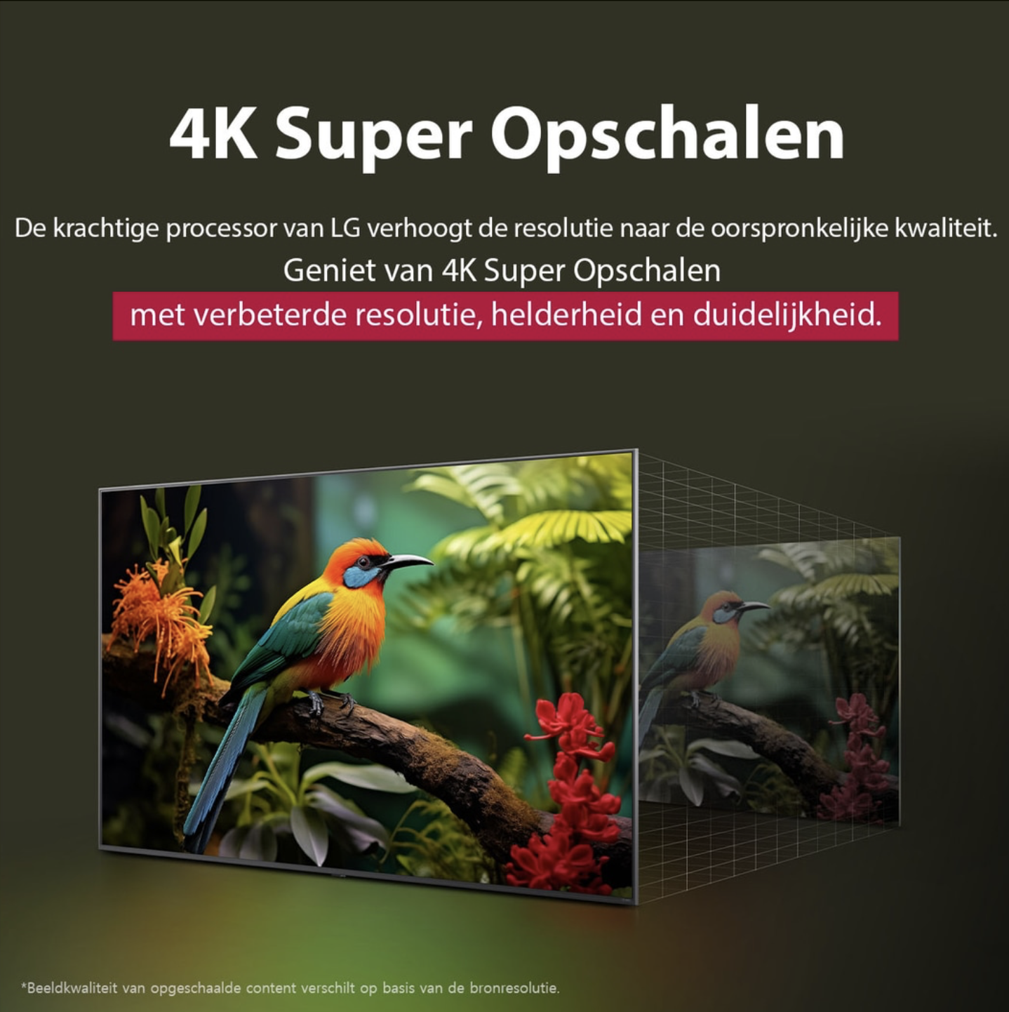 LG CE 43UA73006LA televisie 4K UHD - 43"