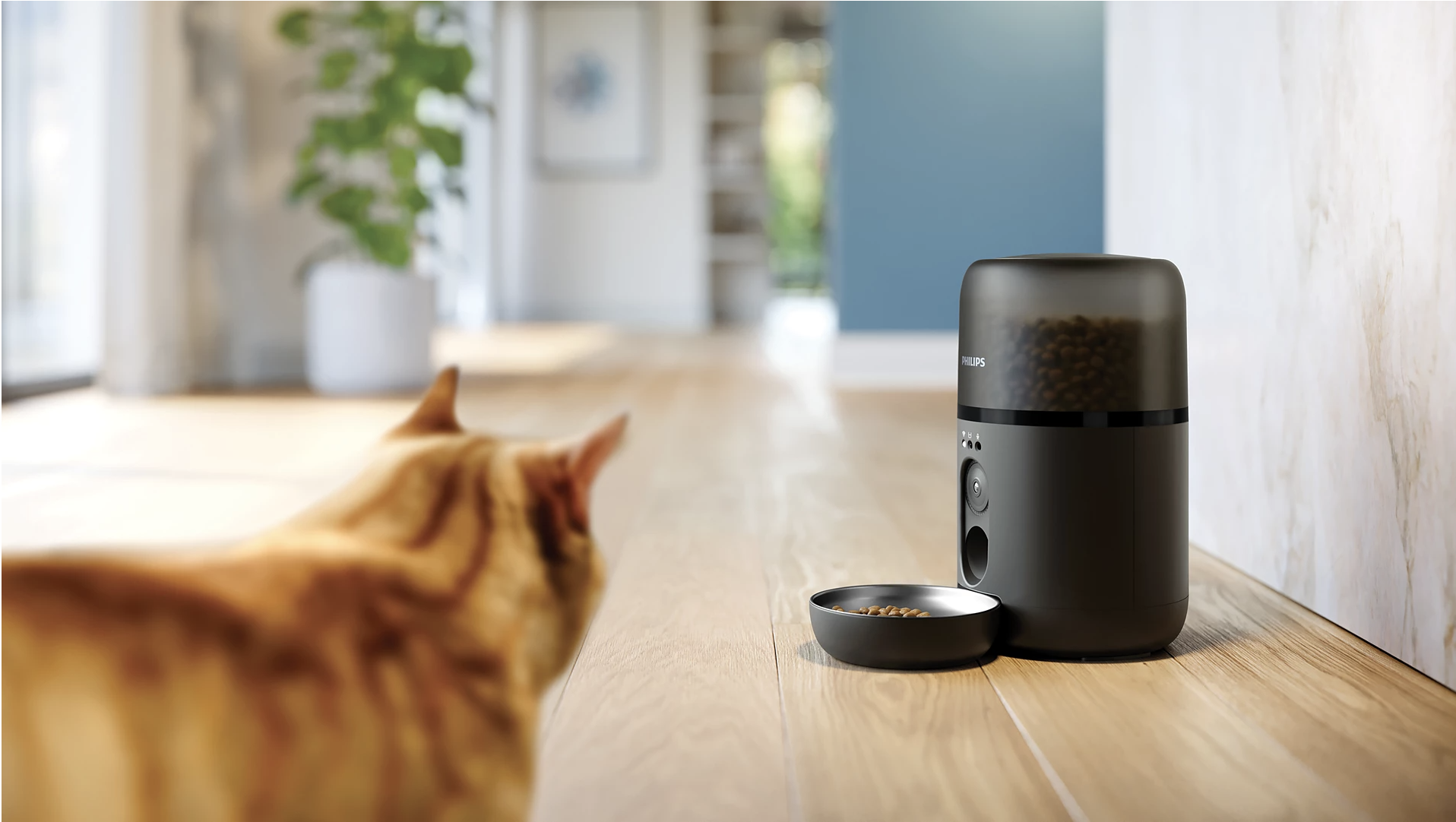 PHILIPS PDPAW5320/02