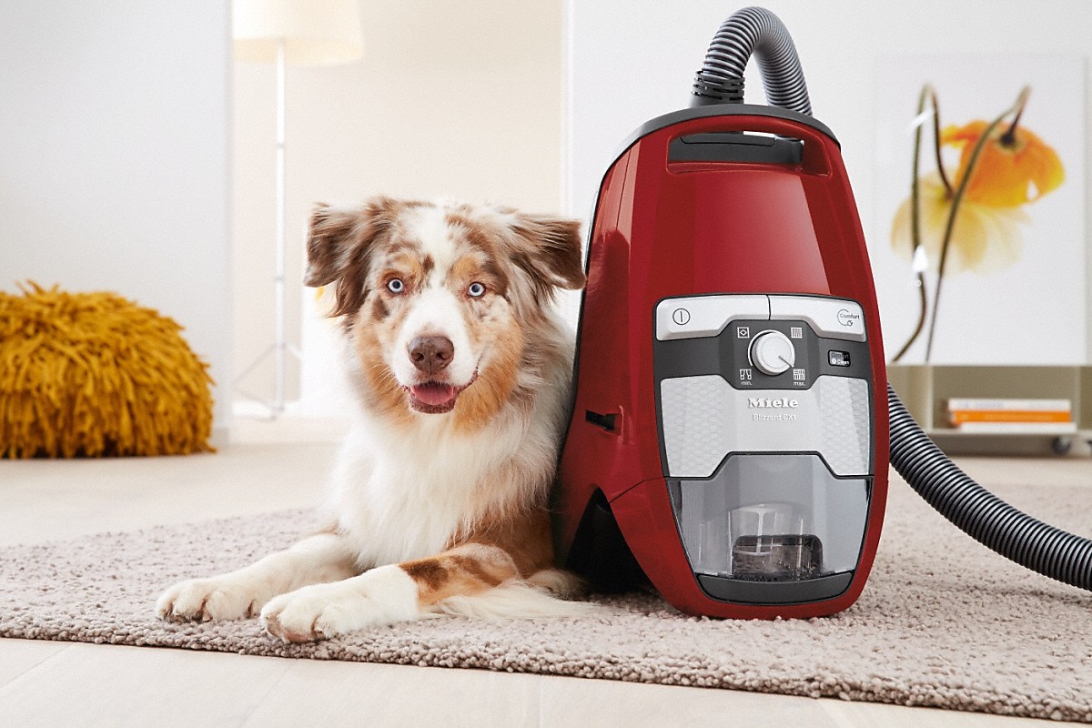 MIELE BLIZZARDCX1CATDOGPOWERLINEMART BLIZZARD stofzuiger zonder zak