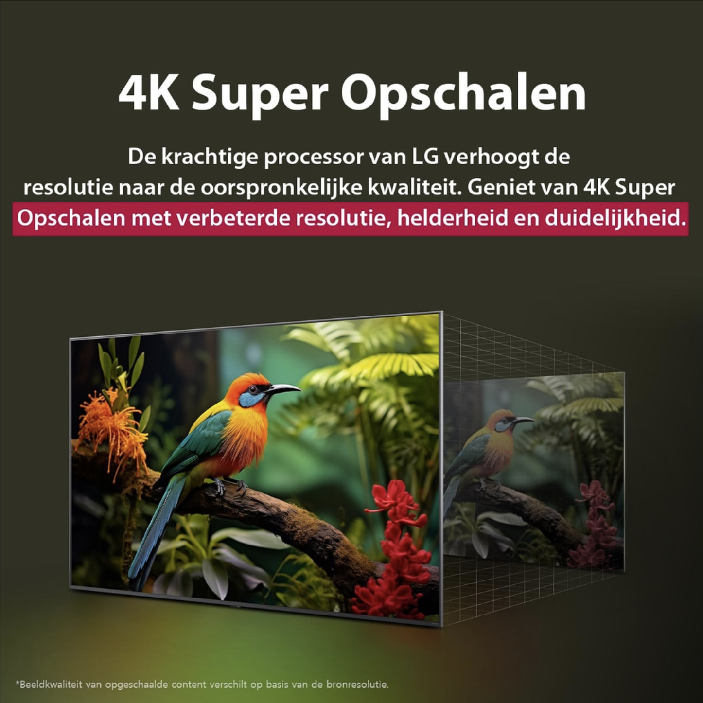 LG CE 65QNED84A6C televisie 4K UHD - 65"