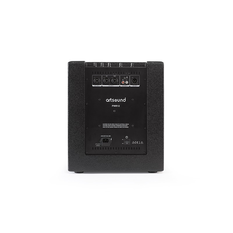 ARTSOUND PWR12 speaker