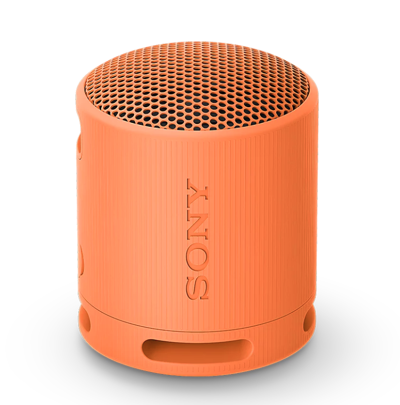 SONY SRSXB100D.CE7